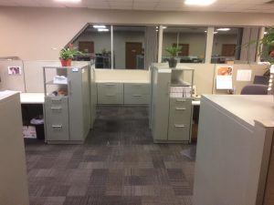 Carpet Cleaning